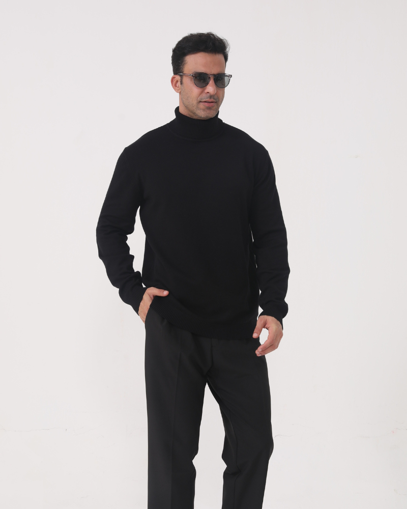 Herrenpullover mit Rollkragen, glatter Strick, lange Ärmel – Aldren