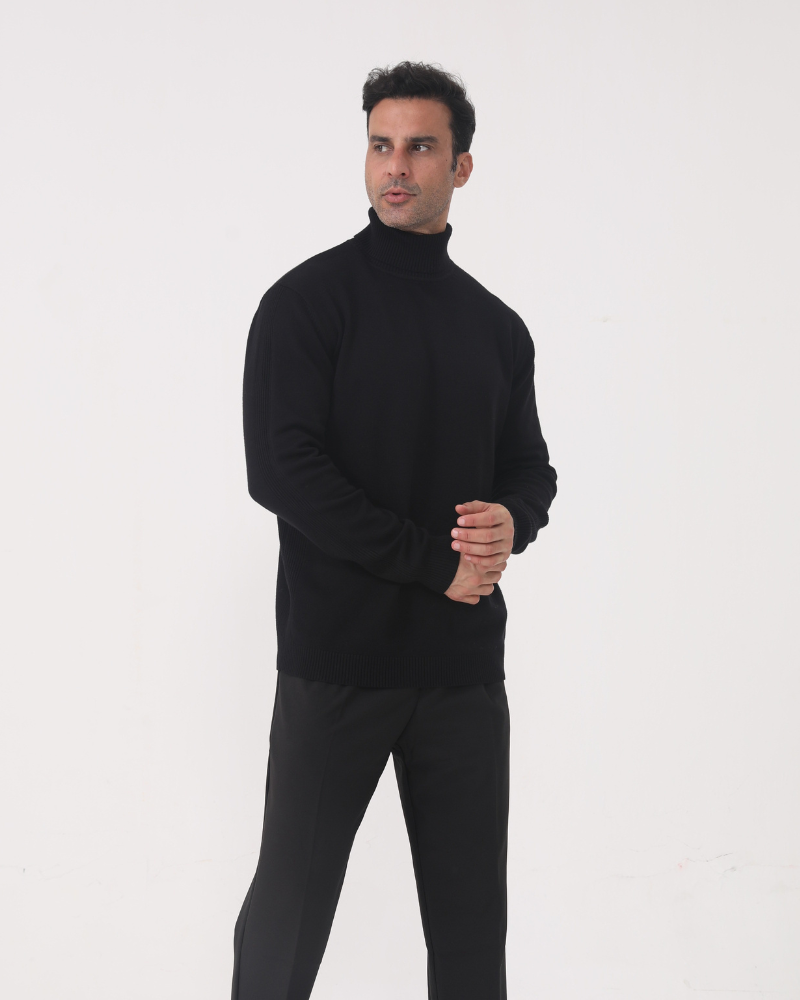Herrenpullover mit Rollkragen, glatter Strick, lange Ärmel – Aldren