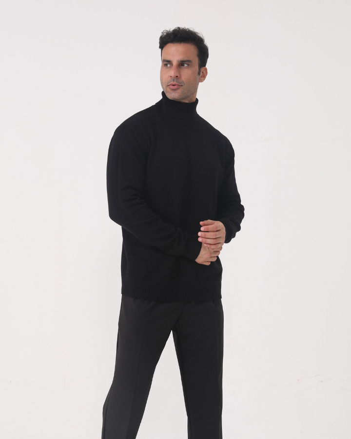Herrenpullover mit Rollkragen, glatter Strick, lange Ärmel – Aldren