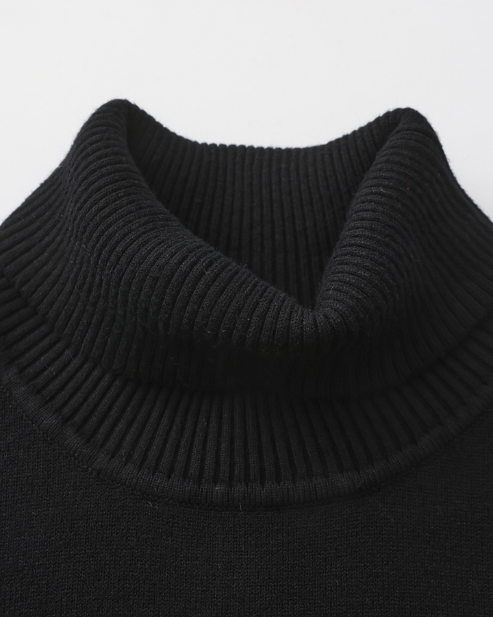 Herrenpullover mit Rollkragen, glatter Strick, lange Ärmel – Aldren