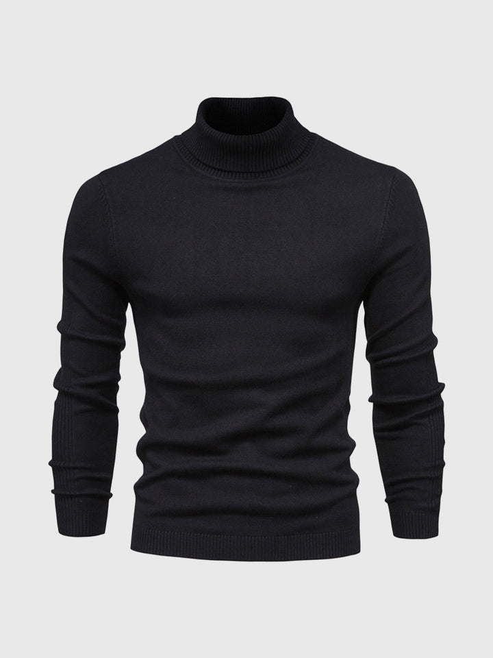 Herren Rollkragenpullover, waschbar